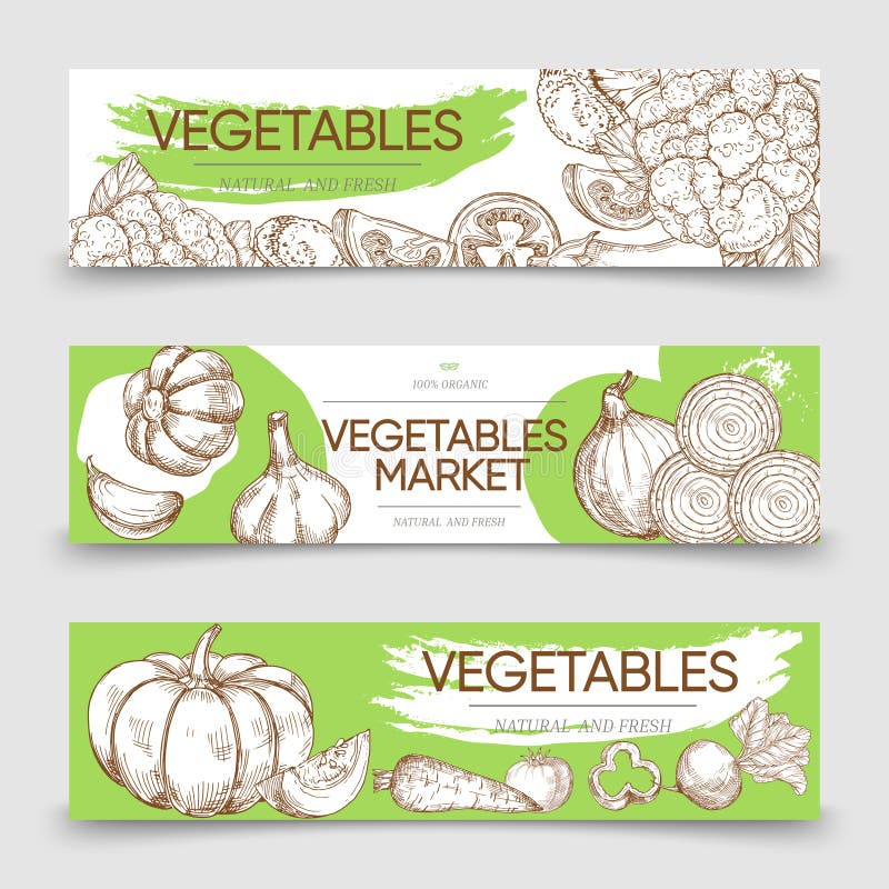 Vegetable markets horizontal banners template with vector sketch vegetables royalty free illustration Vegetable markets horizontal banners template with vector sketch vegetables royalty free illustration