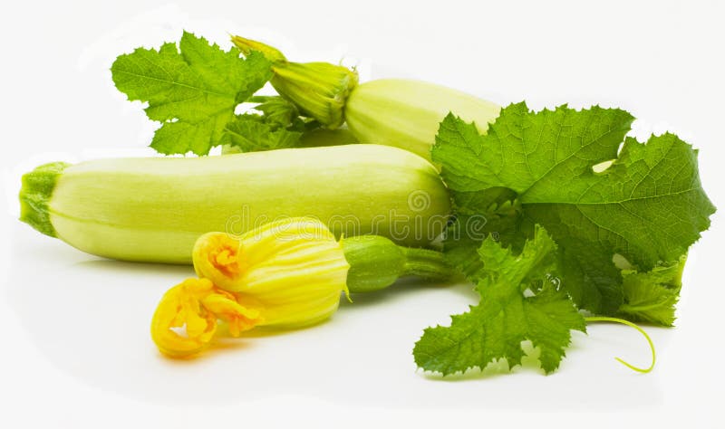 Vegetable marrows