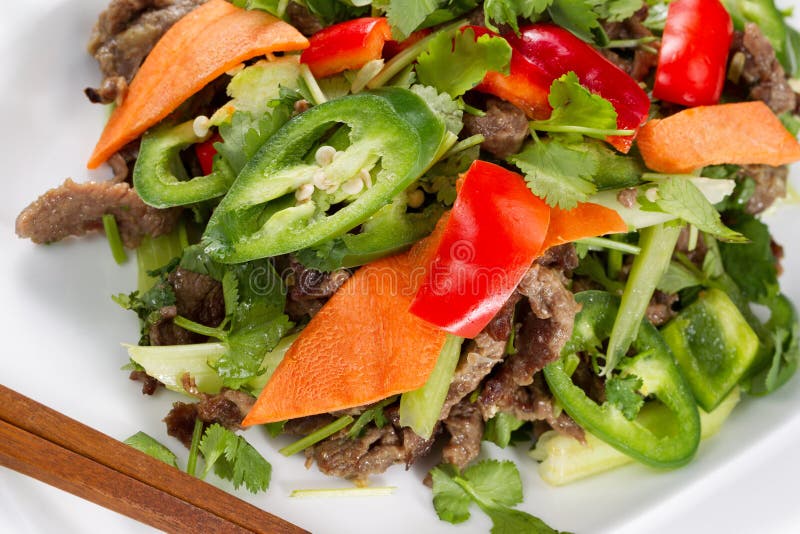 Vegetable and Meat Dish Made Chinese Style Stock Photo Image of