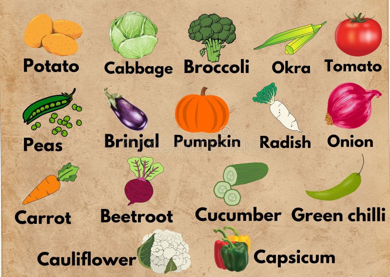 Vegetables Names Stock Illustrations 162 Vegetables Names Stock