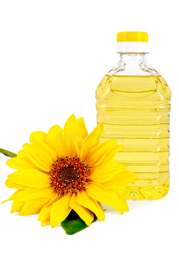 Vegetable Oil with a Flower Sunflower Stock Photo Image of bottle, pure 21583228