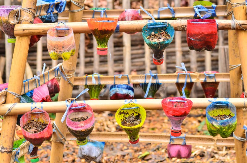 Vegetable planting pot stock image. Image of fresh, ecology 52787155