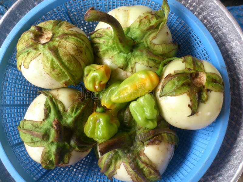 VEGETABLE QUALITY TEST stock image. Image of concise 78210905