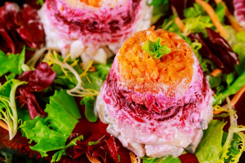 Vegetable Salad with Cooked Potato, Beetroot, Carrot and Egg Stock