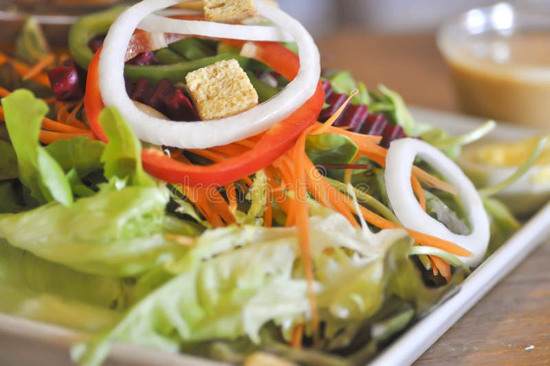 Vegetable Salad with Thousand Island Dressing Stock Image - Image of