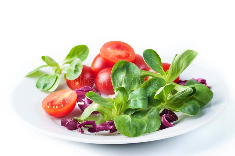 Vegetable salad isolated