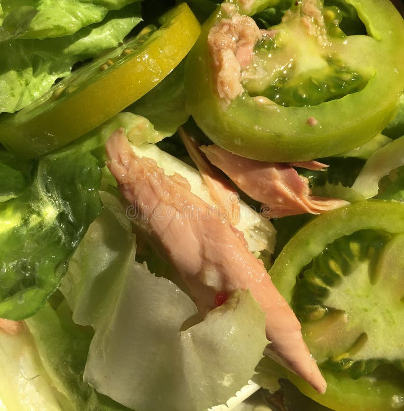 Vegetable Salad with Tuna Fish Stock Image Image of squamosa