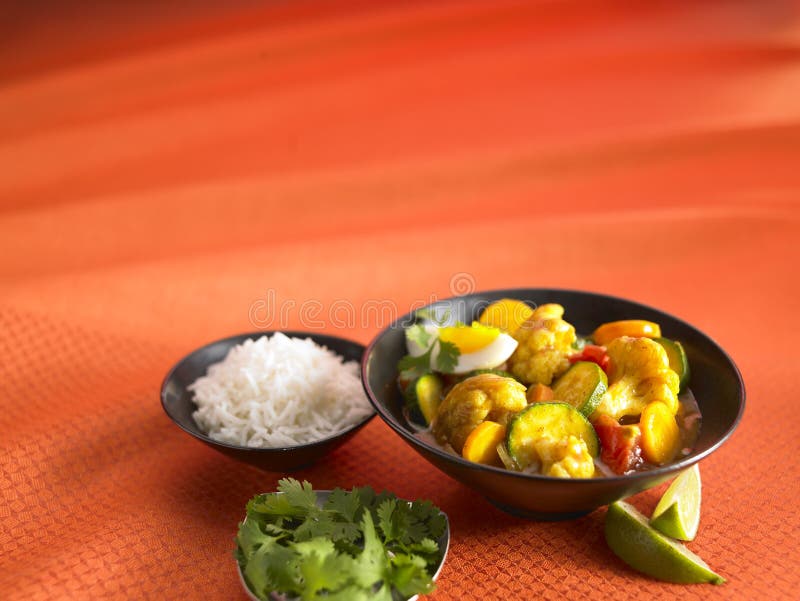 Vegetable Stir Fry with Rice Stock Photo - Image of asian, orange: 22471608