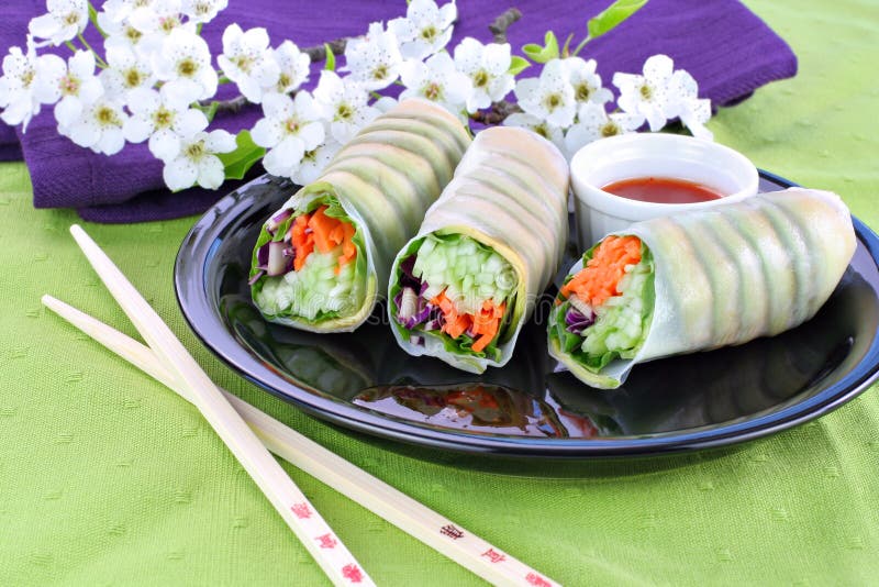 Vegetable Sushi