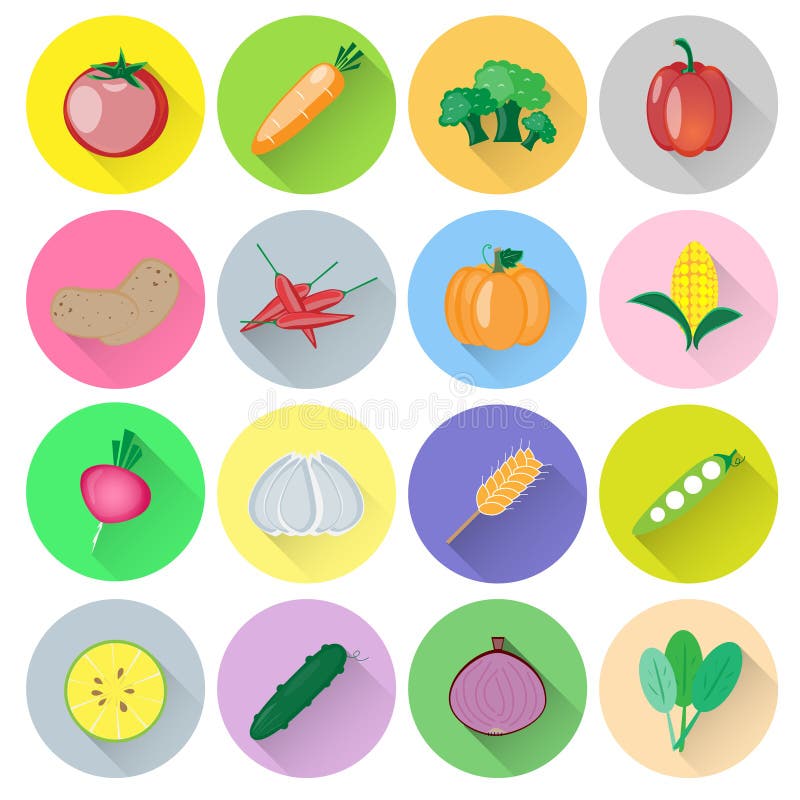 Vegetable vector set stock vector. Illustration of fresh - 41782444