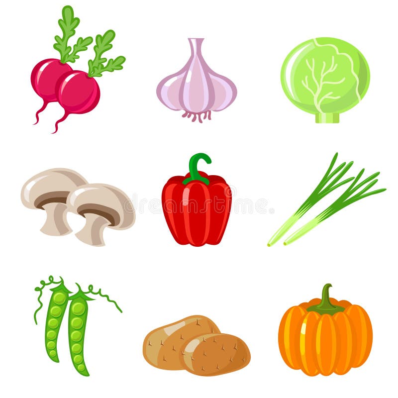 Vegetables vector illustration
