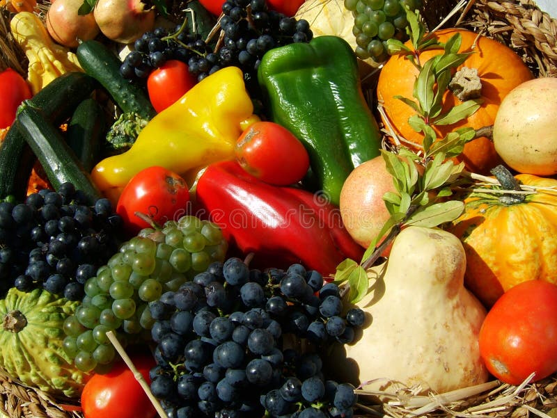 Čerstvá zelenina a ovoce zelenina ingredience pro vaření.