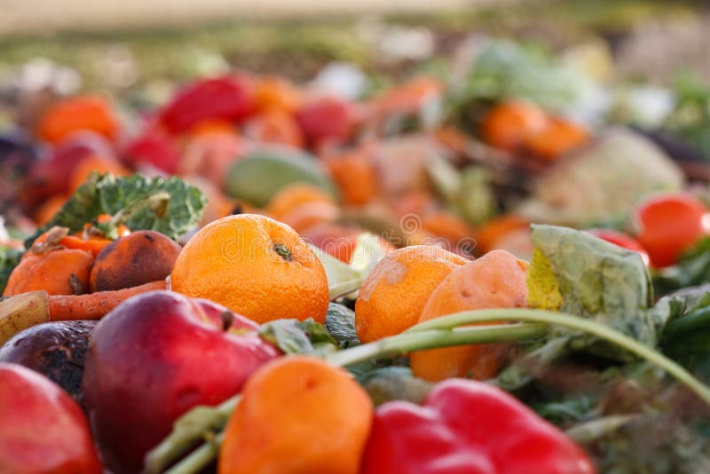 Rotting vegetables stock photo. Image of farming, 6870794