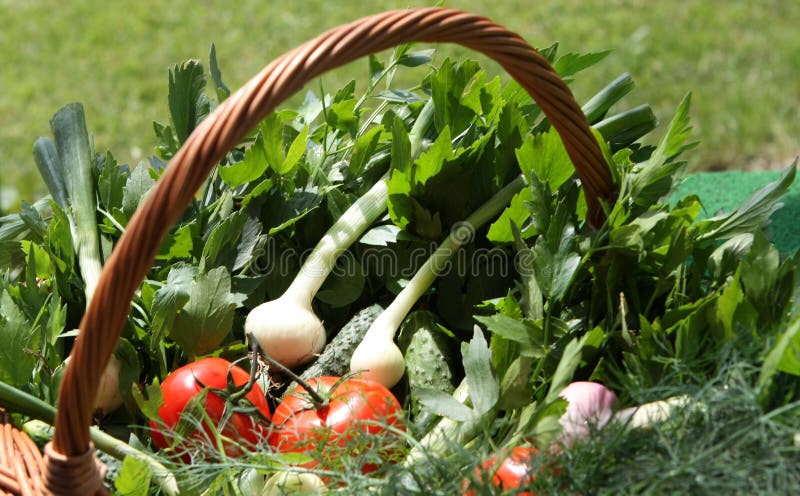 Vegetables basket