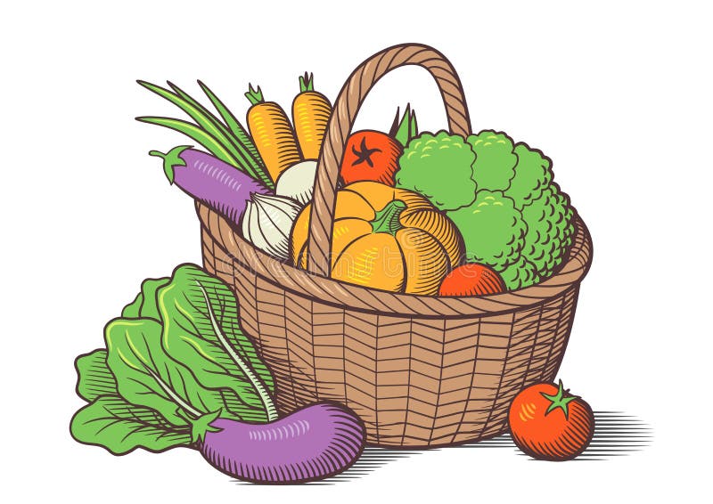 Fruit and vegetable basket drawing free image download-saigonsouth.com.vn