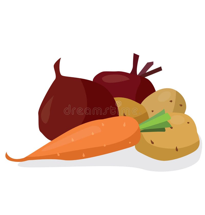 Vegetables Beets, Potatoes, Carrots Stock Vector Illustration of