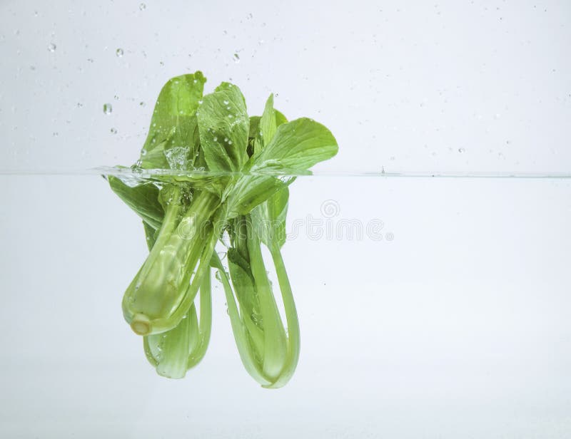 Vegetable drop in water stock photo. Image of liquid 107350530