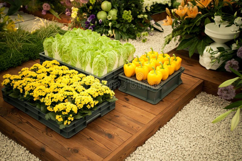 Vegetables and flowers stock image. Image of container 25328897