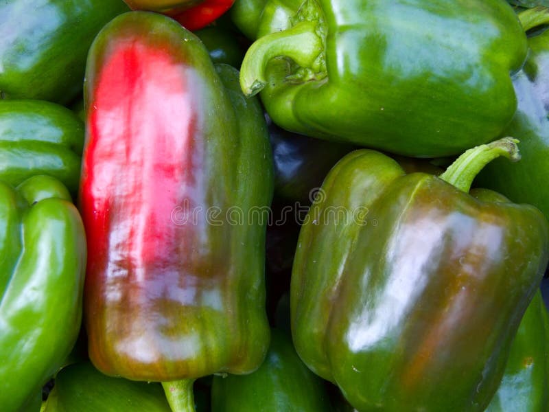 Vegetables fresh pepper