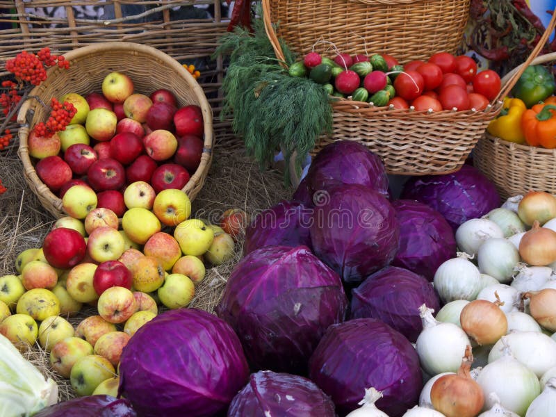 Vegetables and fruit stock photo. Image of peppers, basket 35486948
