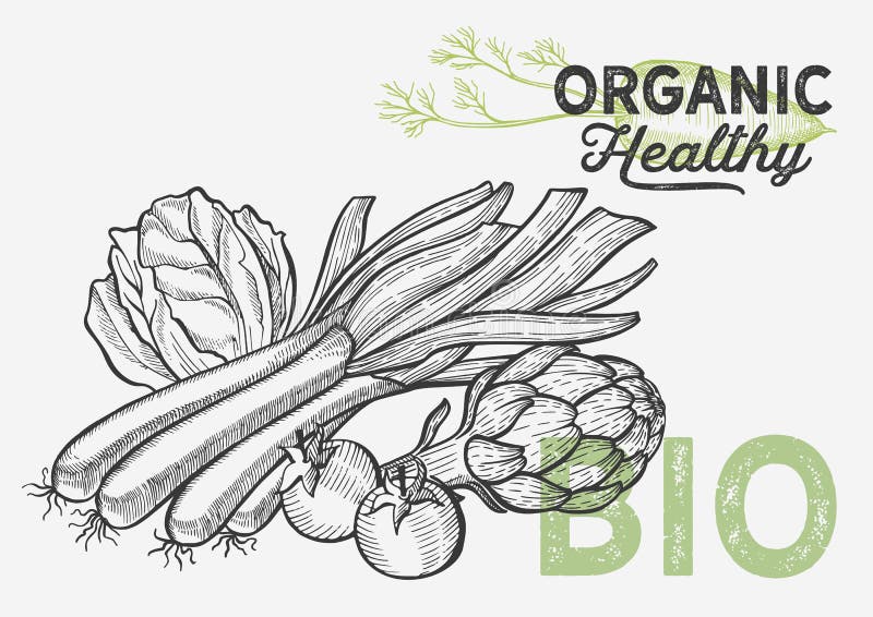 Vegetables And Fruits Illustration For Farm Market Stock Vector