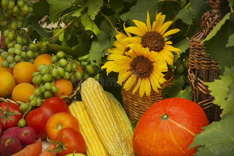 Vegetables and fruits stock image. Image of fiber, harvest - 129639743