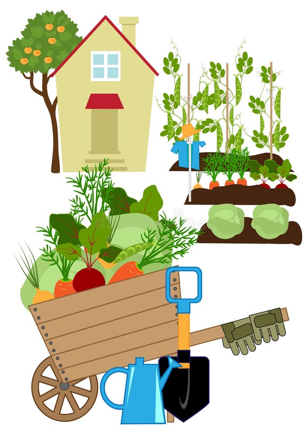 1+ Green beans garden fence Free Stock Photos StockFreeImages