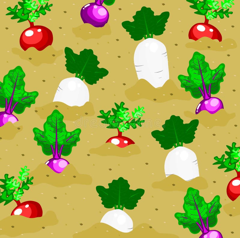 Vegetables Garden Background Stock Vector Illustration of ground