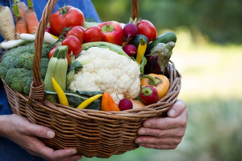 Vegetables in hands