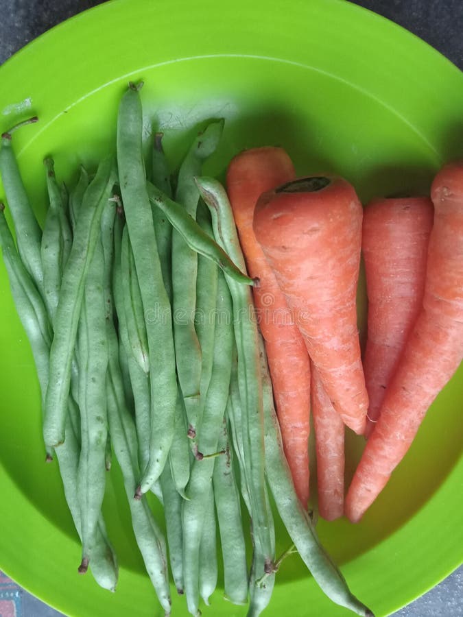 Vegetables that are Healthy for the Human Body Stock Image Image of