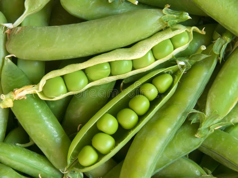 Vegetables peas fresh stock photo. Image of plant, round 15187044