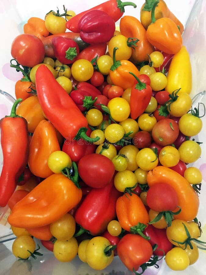 Natural Yellow, Red and Green Vegetables from the Garden Stock Photo