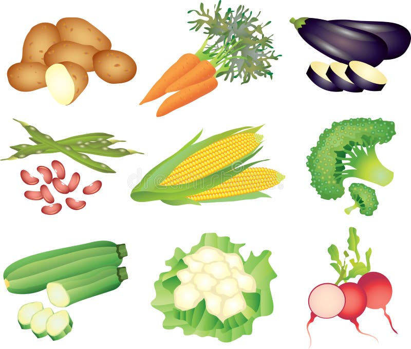 Vegetables photo-realistic set vector illustration