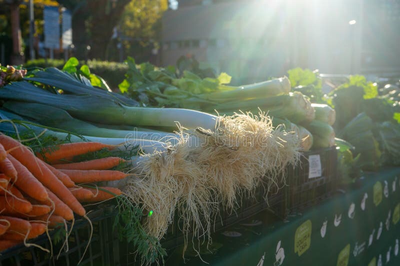 Vegetables for sale stock photo. Image of sale, farmer 277386088