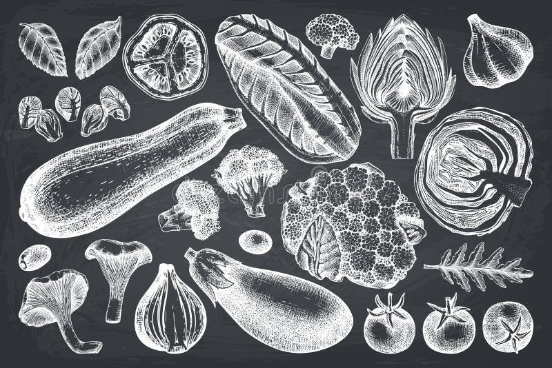 Vector collection of hand sketched vegetables. Vintage veggies and spices illustrations set. Healthy food drawings for vegetarian royalty free illustration Vector collection of hand sketched vegetables. Vintage veggies and spices illustrations set. Healthy food drawings for vegetarian royalty free illustration