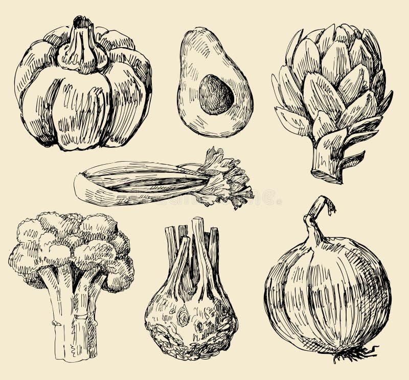 Vegetables set vector illustration