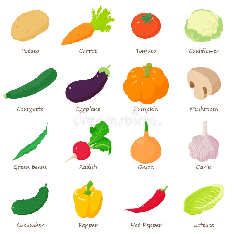 Vegetables Signed Names Icons Set, Isometric Style Stock Vector - Illustration of cauliflower, potato: 114683606 Vegetables Signed Names Icons Set, Isometric Style Stock Vector - Illustration of cauliflower, potato: 114683606