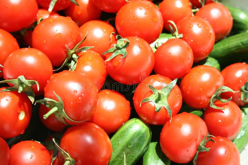 Vegetables Tomatos and Cucumbers Stock Image Image of fresh