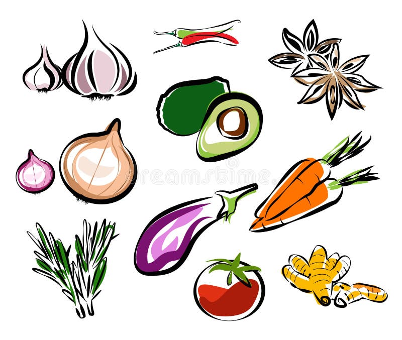 Vegetables vector illustration