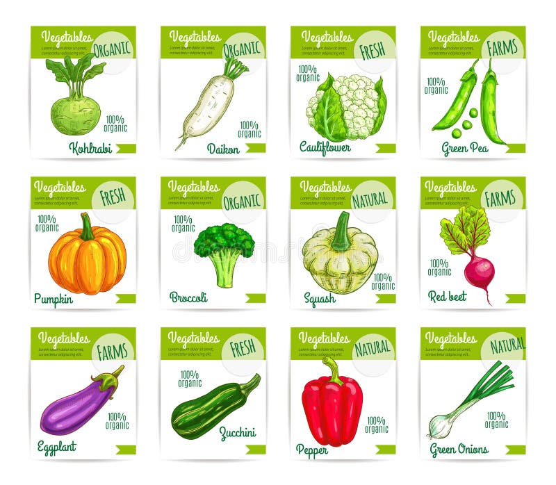 vegetables veggies vector price cards labels set stock