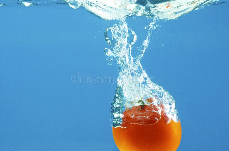 Vegetables in water stock photo. Image of green, liquid 9139752