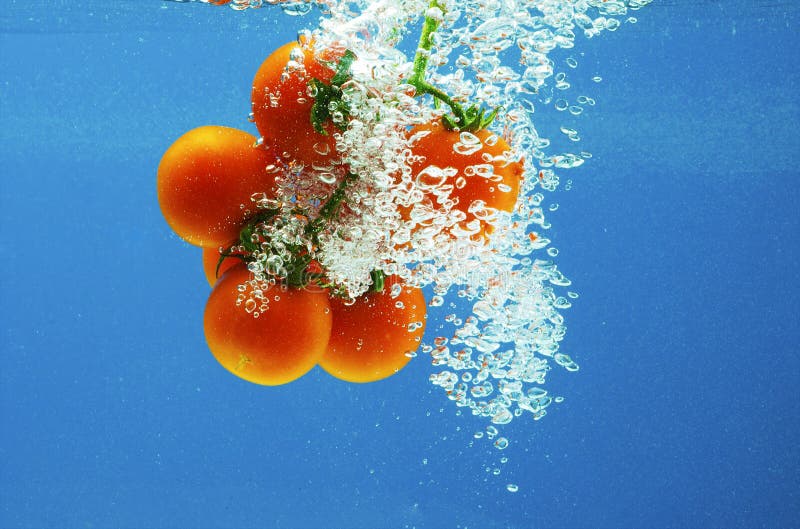 Vegetables in water stock photo. Image of party, clean 7191926