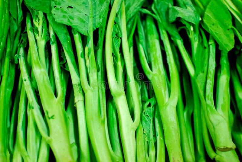 Fresh asian kale lettuce in fresh market , Asia , Thailand. Fresh asian kale lettuce in fresh market , Asia , Thailand