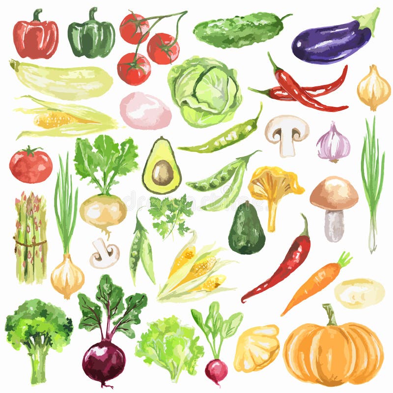 Vegetais da aquarela ajustados ilustração do vetor Vegetais da aquarela ajustados ilustração do vetor