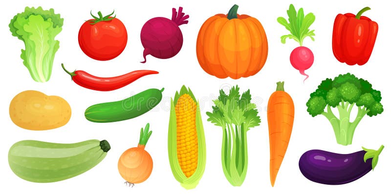 Vegetais dos desenhos animados Vegetarianos frescos do vegetariano, abobrinha verde vegetal cru e aipo Vetor da alface, do tomate