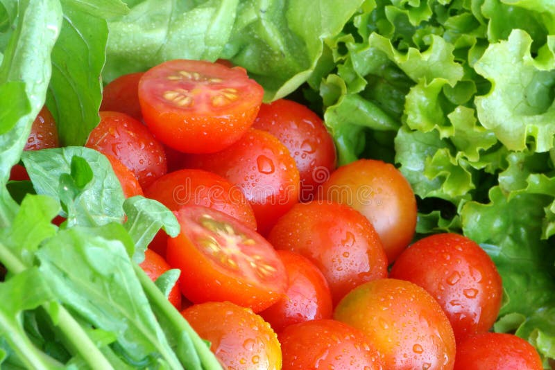 Vegetais recém-lavados fotografia de stock royalty free