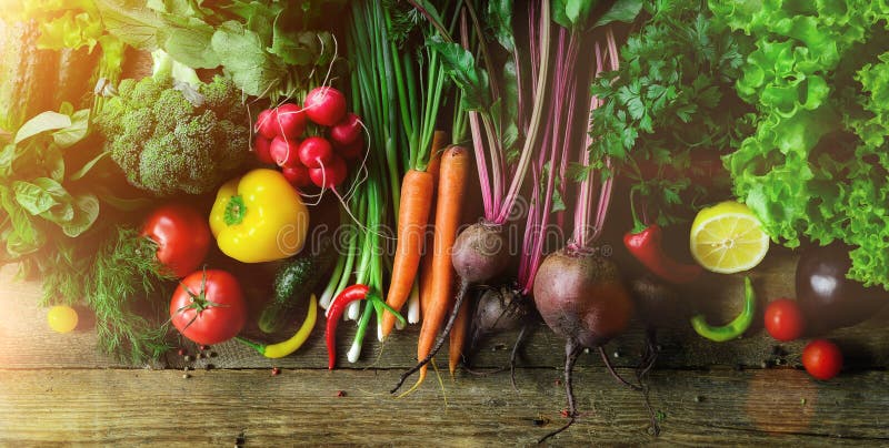 Vegetais no fundo de madeira Bio alimento biológico, ervas e especiarias saudáveis Conceito cru e do vegetariano ingredientes imagens de stock royalty free Vegetais no fundo de madeira Bio alimento biológico, ervas e especiarias saudáveis Conceito cru e do vegetariano ingredientes imagens de stock royalty free