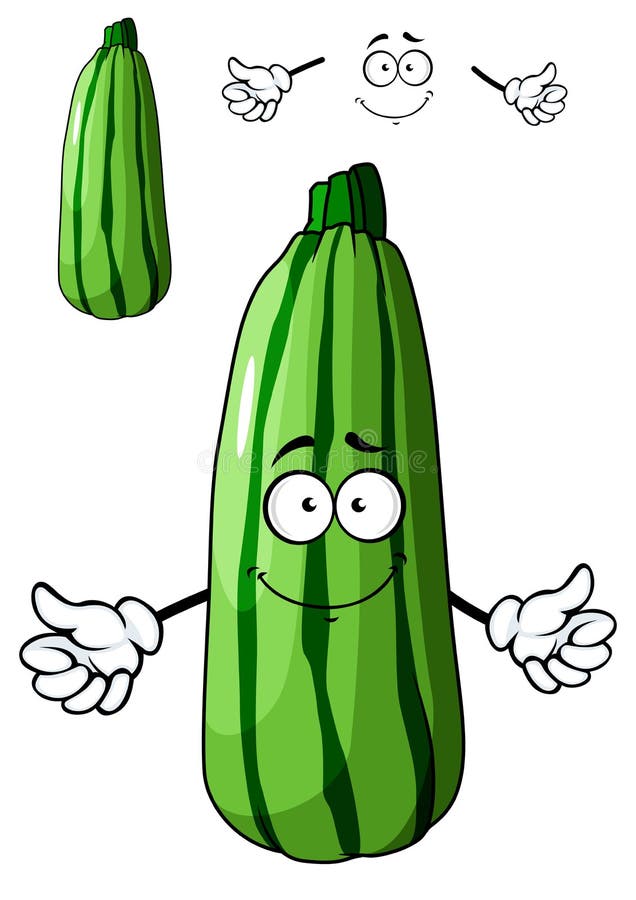 Vegetal verde fresco do abobrinha dos desenhos animados ilustração royalty free Vegetal verde fresco do abobrinha dos desenhos animados ilustração royalty free