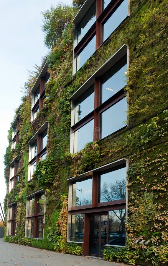 Vegetal wall in Paris