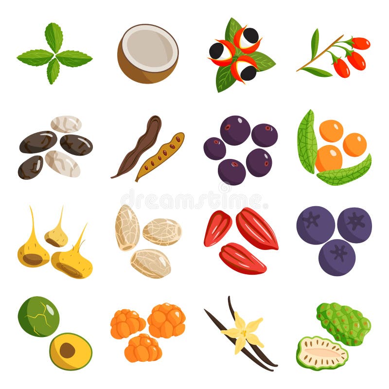 Vegetarian food healthy vegetable and fruits restaurant dishes. cartoon vector.